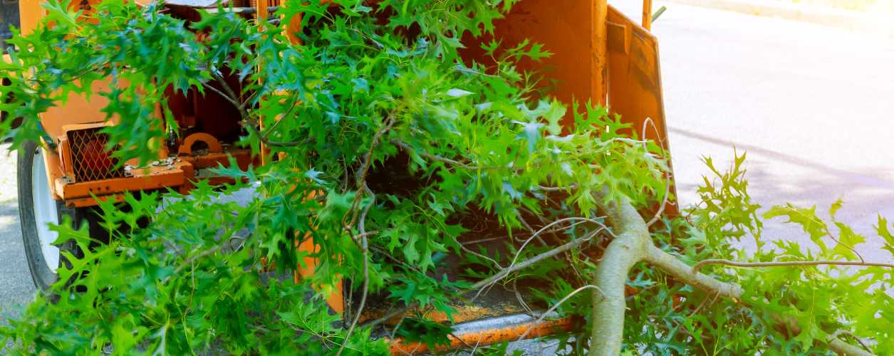 Brush Chipping Services