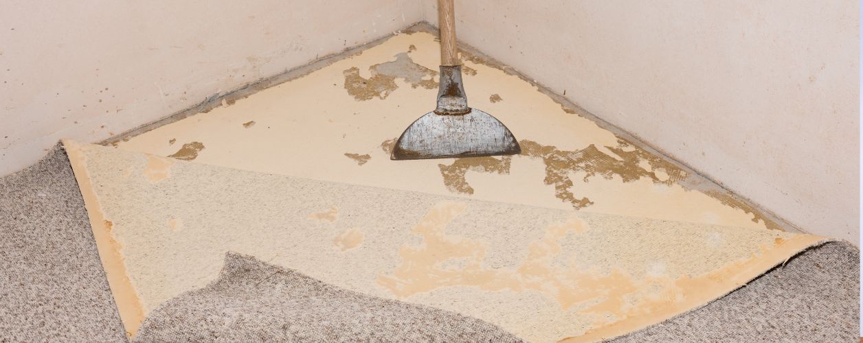Carpet Removal