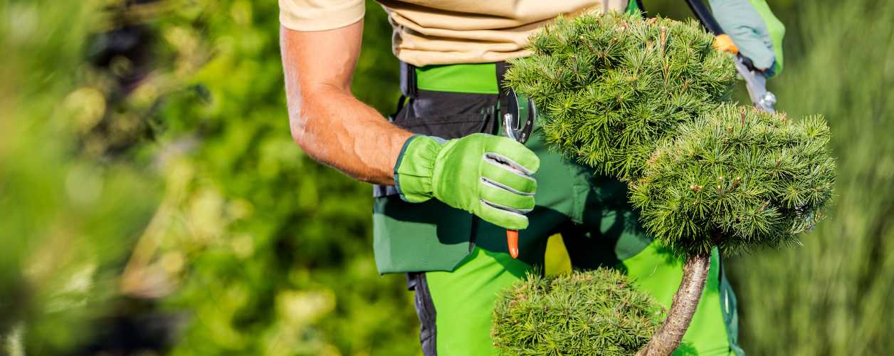 Gardening Services