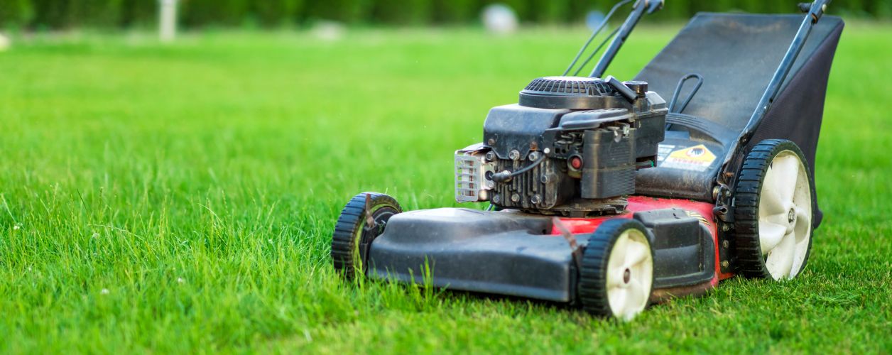 Lawn Care