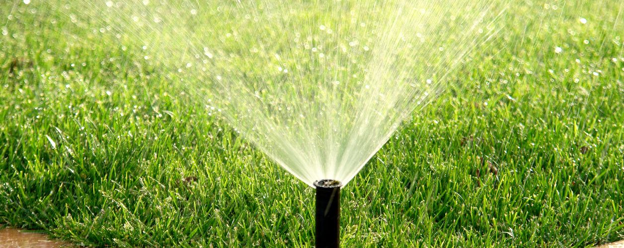 Lawn Irrigation